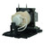 SBP-20W-LAMP