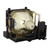 DPS-3 Original OEM replacement Lamp