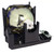 PT-DX810U Original OEM replacement Lamp