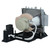 S1373WHn-LAMP