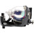 PT-AE700U Original OEM replacement Lamp