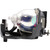 PT-AE700E Original OEM replacement Lamp
