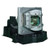 P5370W Original OEM replacement Lamp