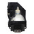 Original Inside Lamp & Housing for the Sony AW10 Projector with Osram PVIP Bulb Inside - 240 Day Warranty