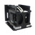 IS806-LAMP