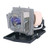 P1303W-LAMP