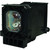 NP2000+ Original OEM replacement Lamp