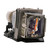 4310X Original OEM replacement Lamp