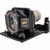 CP-AW252WN replacement lamp
