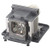 VPL-DW240 replacement Lamp