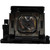 VPL-DX240 replacement Lamp