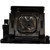 VPL-DX240 replacement Lamp