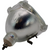 69440 Projector & TV Bulb (Lamp Only) - 1 Year Warranty