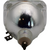 69440 Projector & TV Bulb (Lamp Only) - 1 Year Warranty