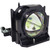PT-DX610E Original OEM replacement Lamp