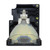 LVP-X390U Original OEM replacement Lamp