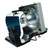 Jaspertronics™ OEM SP.83F01G001 Lamp & Housing for Optoma Projectors with Original High-Quality bulb inside - 240 Day Warranty