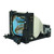 CP-X385W-LAMP