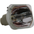 69574 Bulb