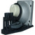 1510X replacement lamp