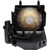VPL-VW65ES Original OEM replacement Lamp