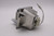 PJD5555W-LAMP
