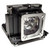 LC-XD25 Original OEM replacement Lamp