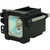 HD-56G657-LAMP