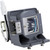 RLC-096 Original OEM replacement Lamp
