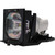 TLP-S30U-LAMP