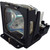 TLP-T50-LAMP