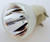 Jaspertronics™ OEM 69804 Bulb (Lamp Only) Various Applications with Original High-Quality bulb inside - 240 Day Warranty