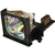 Hopper-20-series-SV20 Original OEM replacement Lamp