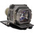 BW7 Original OEM replacement Lamp