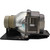 BW7 Original OEM replacement Lamp