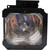 VP12S4 Original OEM replacement Lamp