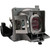 CP-DX301 Original OEM replacement Lamp