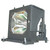 994802350 Original OEM replacement Lamp