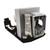 DH1011 replacement lamp