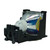 PT-L735NTU replacement lamp