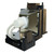 PG-D40W3D replacement lamp