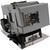 PG-LS2000-LAMP