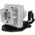 PT-LX351U Original OEM replacement Lamp