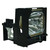 HS10 Original OEM replacement Lamp