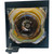 PT-L6600 Original OEM replacement Lamp