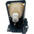 PT-L6600 Original OEM replacement Lamp