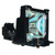 PT-L702 Original OEM replacement Lamp