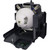 PT-EX610 replacement lamp