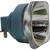 Philips MSD Platinum 17RA Stage & Touring Lamp – 350W, 15,250 lm, 7000K, Dimmable - 9281-973-05314