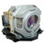 LT35 Original OEM replacement Lamp